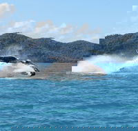 Whitsundays Whale Watching Cruise from Airlie Beach - Accommodation Melbourne