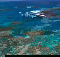 Quicksilver Outer Great Barrier Reef Snorkel Cruise from Port Douglas - Accommodation Melbourne