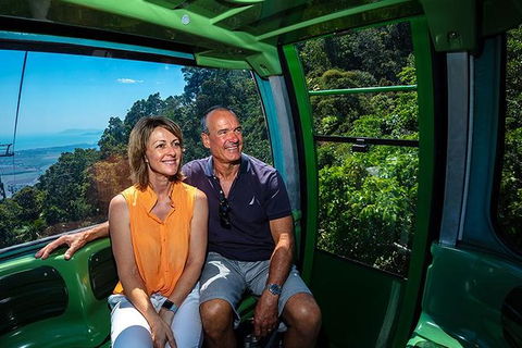 Skyrail Rainforest Cableway Day Trip From Palm Cove - Accommodation Melbourne 0