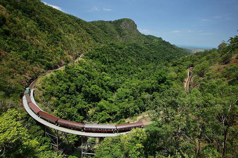 Skyrail Rainforest Cableway Day Trip From Palm Cove - Accommodation Melbourne 5