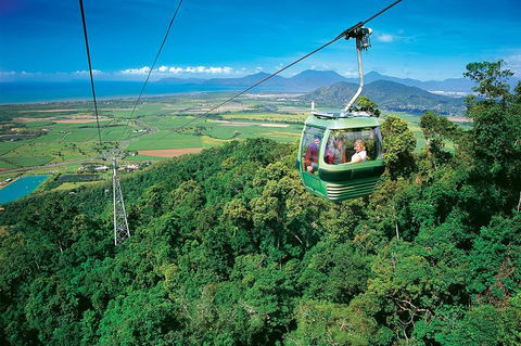 Skyrail Rainforest Cableway Day Trip From Palm Cove - Accommodation Melbourne 3
