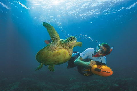 Moreton Island Day Trip From Brisbane - Accommodation Melbourne 1