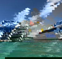Eco Marine Safari - Boom netting  Snorkeling Moreton Island - Fortitude Valley - Accommodation Melbourne