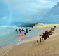 Rainbow Beach Horse Ride - Accommodation Melbourne
