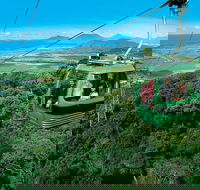 Small-Group Kuranda Village Skyrail Cableway and Scenic Railway Day Trip from Port Douglas - Accommodation Melbourne