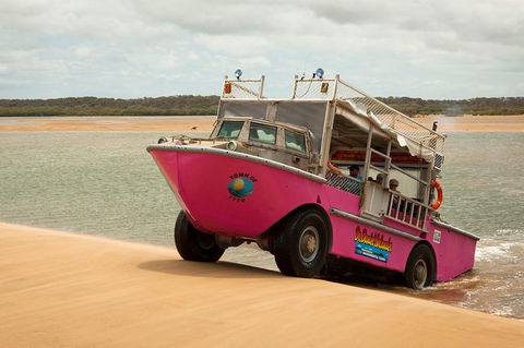 Town Of 1770 Afternoon Cruise - Accommodation Melbourne 1