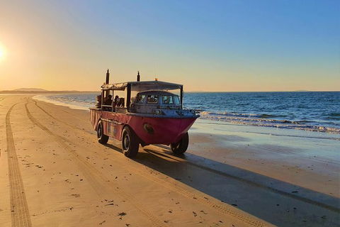 Town Of 1770 Afternoon Cruise - Accommodation Melbourne 6