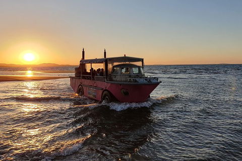 Town Of 1770 Afternoon Cruise - Accommodation Melbourne 7
