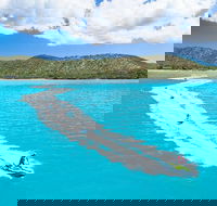 Whitsundays Jet Ski Tour - Accommodation Melbourne