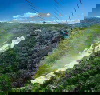 Skyrail Rainforest Cableway Day Trip from Port Douglas - Accommodation Melbourne