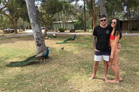 Surfers Paradise Stand Up Paddle Tour - Accommodation Melbourne 5