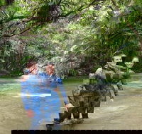 Mossman River Drift Snorkelling from Port Douglas or Mossman - Accommodation Melbourne
