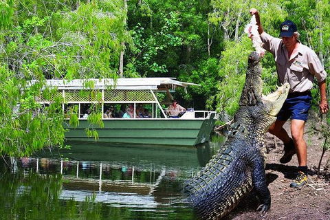 Crocs, Creatures And Culture Ex Northern Beaches - Accommodation Melbourne 1