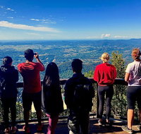 Springbrook Full Day Tour - Accommodation Melbourne