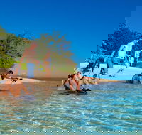 Half Day Low Isles Snorkelling Tour from Port Douglas - Accommodation Melbourne