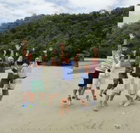 Private Daintree Wanderer Tour - Accommodation Melbourne