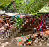 Kuranda Day Trip small group from Port Douglas by bus - Accommodation Melbourne