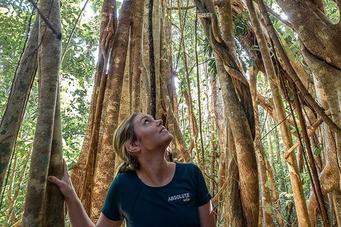 Whitsundays Tropical Rainforest, Waterfalls And Airlie Beach Eco Experience - Accommodation Melbourne 14