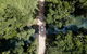 Whitsundays Tropical Rainforest, Waterfalls And Airlie Beach Eco Experience - thumb 11