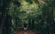 Whitsundays Tropical Rainforest, Waterfalls And Airlie Beach Eco Experience - thumb 5