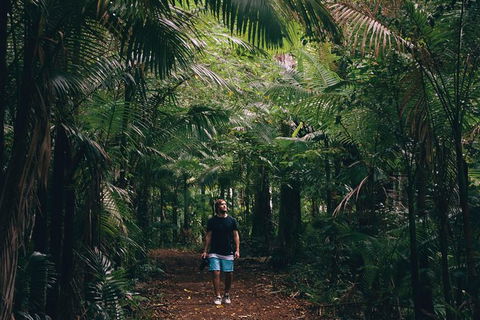 Whitsundays Tropical Rainforest, Waterfalls And Airlie Beach Eco Experience - Accommodation Melbourne 5