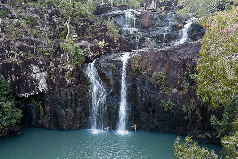 Whitsundays Tropical Rainforest, Waterfalls And Airlie Beach Eco Experience - Accommodation Melbourne 9
