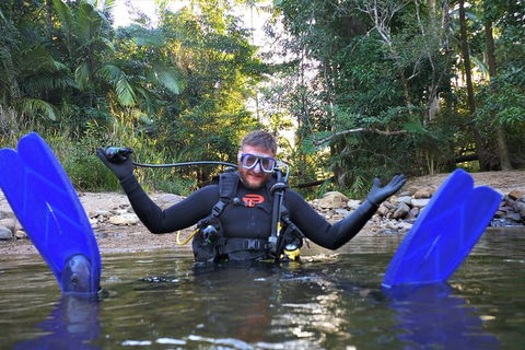 Rainforest Platypus Night Dive (Certified Divers Only Once Day Dive Completed) - Accommodation Melbourne 10