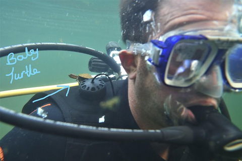 Rainforest Platypus Night Dive (Certified Divers Only Once Day Dive Completed) - Accommodation Melbourne 4