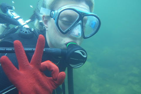 Rainforest Platypus Night Dive (Certified Divers Only Once Day Dive Completed) - Accommodation Melbourne 5