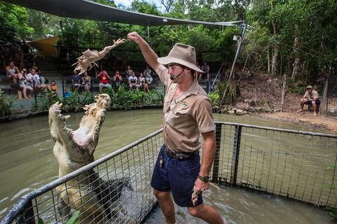Hartley's Crocodile Adventures Day Trip From Cairns - Accommodation Melbourne 0