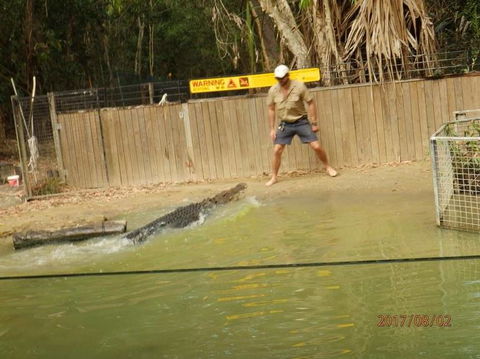 Hartley's Crocodile Adventures Day Trip From Cairns - Accommodation Melbourne 8