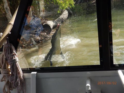 Hartley's Crocodile Adventures Day Trip From Cairns - Accommodation Melbourne 5