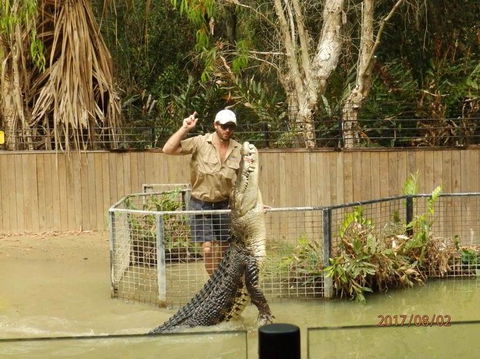 Hartley's Crocodile Adventures Day Trip From Cairns - Accommodation Melbourne 2