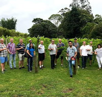 Full Day Mount Tamborine Winery Tour from Brisbane - Accommodation Melbourne