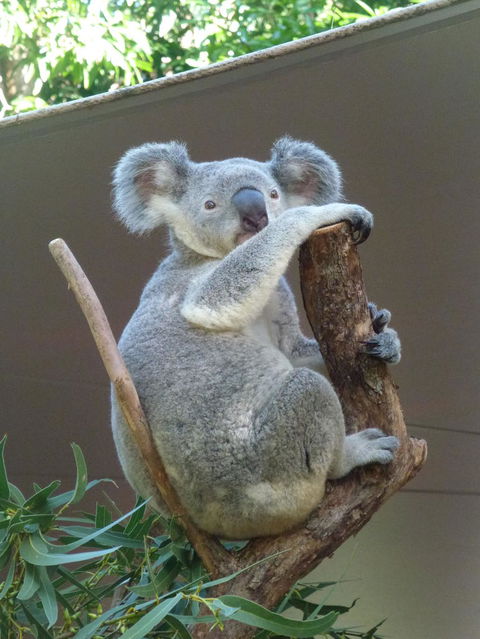Whitehaven Beach And Hamilton Island Cruise - Accommodation Melbourne 6