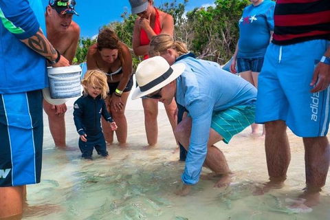 Whitehaven Beach And Hamilton Island Cruise - Accommodation Melbourne 1