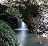 Small-Group 4WD Springbrook National Park Day Trip from Brisbane - Accommodation Melbourne