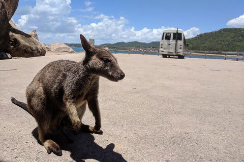 Magnetic Island Tour: Maggie Comprehensive - Accommodation Melbourne 0