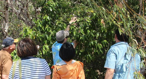 Magnetic Island Tour: Maggie Comprehensive - Accommodation Melbourne 6