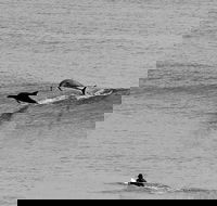 Overnight Tweed Coast Camping and Surfing Getaway From The Gold Coast - Accommodation Melbourne