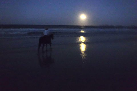 Full Moon Horse Ride At Rainbow Beach - Accommodation Melbourne 0