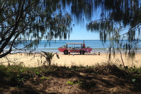 1770 Coastline Tour By LARC Amphibious Vehicle Including Picnic Lunch - Accommodation Melbourne 0