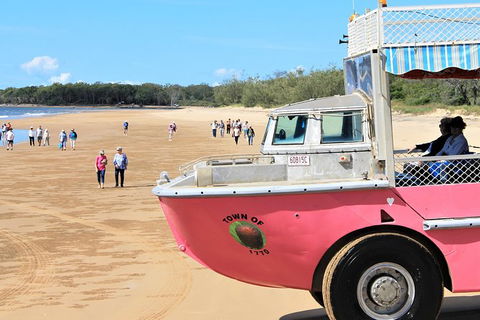 1770 Coastline Tour By LARC Amphibious Vehicle Including Picnic Lunch - Accommodation Melbourne 8