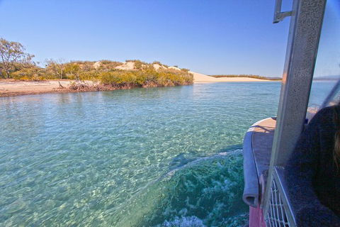 1770 Coastline Tour By LARC Amphibious Vehicle Including Picnic Lunch - Accommodation Melbourne 12