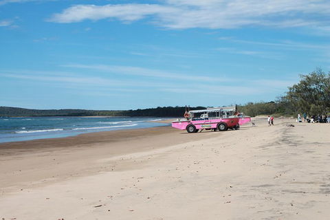 1770 Coastline Tour By LARC Amphibious Vehicle Including Picnic Lunch - Accommodation Melbourne 6