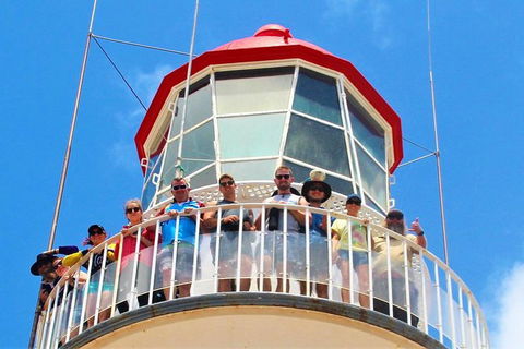 Full-Day 1770 Tour By LARC Amphibious Vehicle Including Sandboarding And Bustard Head Lightstation - Accommodation Melbourne 4
