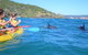 Half-Day Kayak With Dolphins And 4WD Beach Drive From Rainbow Beach - thumb 1