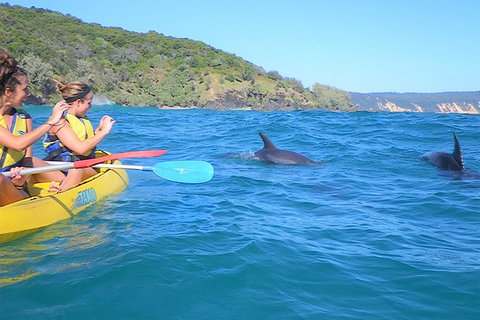Half-Day Kayak With Dolphins And 4WD Beach Drive From Rainbow Beach - Accommodation Melbourne 3