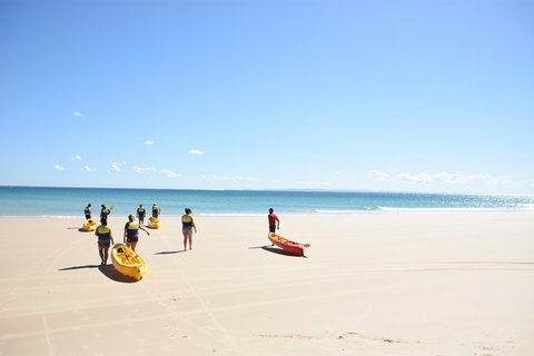 Half-Day Kayak With Dolphins And 4WD Beach Drive From Rainbow Beach - Accommodation Melbourne 10