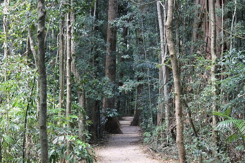 Eumundi Markets And Sunshine Coast Day Trip From Brisbane - Accommodation Melbourne 6